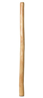 Medium Size Natural Finish Didgeridoo (TW1196)